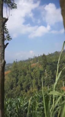 Doğal manzara dağları, doğal panorama tepeleri, ve uzun yeşil ağaçlardan oluşan ormanlar ve bulutlu mavi gökyüzünün altında yeşil tarlalar.