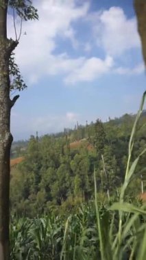 Doğal manzara dağları, doğal panorama tepeleri, ve uzun yeşil ağaçlardan oluşan ormanlar ve bulutlu mavi gökyüzünün altında yeşil tarlalar.