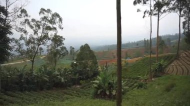 Doğal manzara dağları, doğal panorama tepeleri, ve uzun yeşil ağaçlardan oluşan ormanlar ve bulutlu mavi gökyüzünün altında yeşil tarlalar.