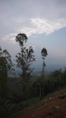 Doğal manzara dağları, doğal panorama tepeleri, ve uzun yeşil ağaçlardan oluşan ormanlar ve bulutlu mavi gökyüzünün altında yeşil tarlalar.