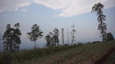 Doğal manzara dağları, doğal panorama tepeleri, ve uzun yeşil ağaçlardan oluşan ormanlar ve bulutlu mavi gökyüzünün altında yeşil tarlalar.