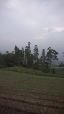 Doğal manzara dağları, doğal panorama tepeleri, ve uzun yeşil ağaçlardan oluşan ormanlar ve bulutlu mavi gökyüzünün altında yeşil tarlalar.