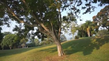 Doğal görüntüler, tepelerin panoramik manzarası, ve öğleden sonra yeşil çimlerin genişlemesi.