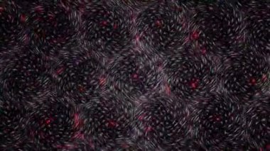 3D soyut parlak çizgiler, dalga, renkli, siyah arkaplan