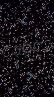 Siyah arkaplandaki renkli çizgilerle ince hareketleri düzenleyen, parıldayan, parlak güzel videolar.