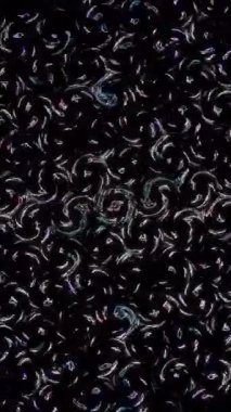 Siyah arkaplandaki renkli çizgilerle ince hareketleri düzenleyen, parıldayan, parlak güzel videolar.