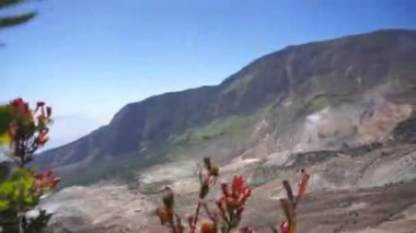 Garut, Batı Java, Endonezya 'da ölü bir orman olan Papandayan Dağı' nın yüksek uçurumlarıyla parlak manzaralı güzel bir video.