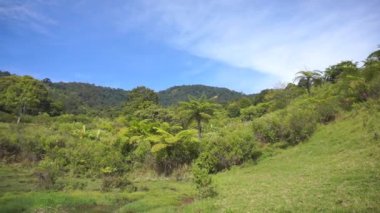 Dağ manzarası, doğal tepe manzarası, uzun yeşil ormanlar ve gün boyunca yeşil yamaçlar.