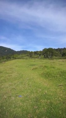 Dağ manzarası, doğal tepe manzarası, uzun yeşil ormanlar ve gün boyunca yeşil yamaçlar.