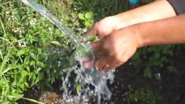 Bir adamın eli lahana ya da Brassica Oleracea 'yı dağ suyuyla temizliyor.