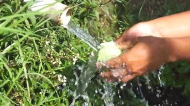 Bir adamın eli lahana ya da Brassica Oleracea 'yı dağ suyuyla temizliyor.