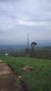 Tepelerde güzel bir yolculuk. Uçlarında kırmızı soğan çiftliğinin yeşil manzarası var.