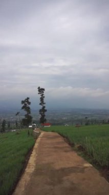 Tepelerde güzel bir yolculuk. Uçlarında kırmızı soğan çiftliğinin yeşil manzarası var.