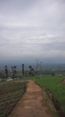 Tepelerde güzel bir yolculuk. Uçlarında kırmızı soğan çiftliğinin yeşil manzarası var.