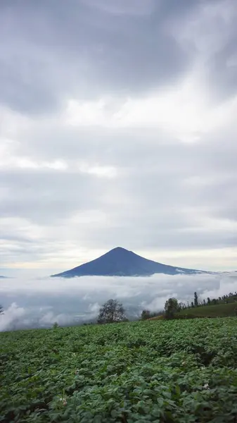 Güzel bir sabah manzarası, beyaz bulutlar denizi, dağ manzarası