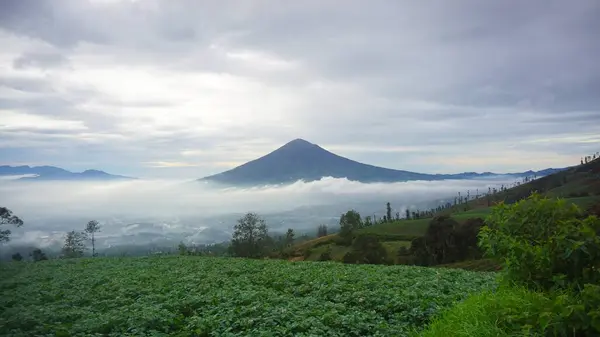 Güzel bir sabah manzarası, beyaz bulutlar denizi, dağ manzarası