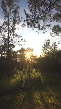 Güzel doğal manzara, gün doğumunda Cikuray Dağı manzaralı sabah atmosferi.