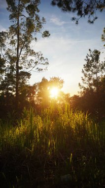 Güzel doğal manzara, gün doğumunda Cikuray Dağı manzaralı sabah atmosferi.
