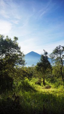 Güzel doğal manzara, gün doğumunda Cikuray Dağı manzaralı sabah atmosferi.