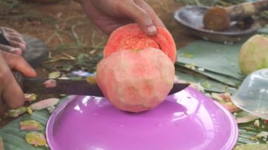 Bir adam kırmızı guava soyuyor ve kesiyor, ya da Latin Psidium guajava 'da, mutfak bıçağıyla..