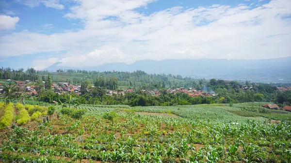 Dağların güzel doğal manzarası, tepelerin doğal manzarası, yüksek yeşil ağaçların ormanları ve gün boyunca açık mavi gökyüzünün altında yeşil yamaçlar.