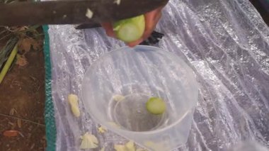 Bir adam bir salatalık kesiyor ya da Latin salatalık desenli, mutfak bıçağıyla..