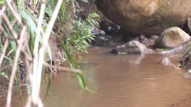 Dağlardaki kayaların kenarından temiz su akar.