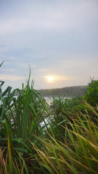 Sahil manzaralı Doğal Güzellik Öğleden Sonra Günbatımında Denizde Dalgalar Var