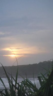 Güzel dikey video portresi Sahil Manzaralı Doğal Güzellik Öğleden Sonra Günbatımında Denizde Dalgalar Var