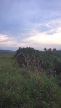 Sahil manzaralı Doğal Güzellik Öğleden Sonra Günbatımında Denizde Dalgalar Var