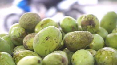 Olgun, tatlı yeşil mango yığını