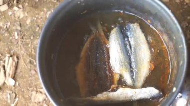 Portatif soba kullanarak kızartma tavasında tuzlanmış balık.