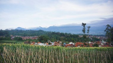 Dağların güzel doğal manzarası, tepelerin doğal manzarası, yüksek yeşil ağaçların ormanları ve gün boyunca açık mavi gökyüzünün altında yeşil yamaçlar.