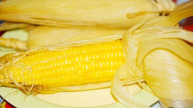 Pişmiş ve sarı renkli haşlanmış mısır, bir tabakta.