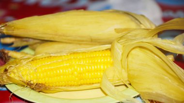 Pişmiş ve sarı renkli haşlanmış mısır, bir tabakta.