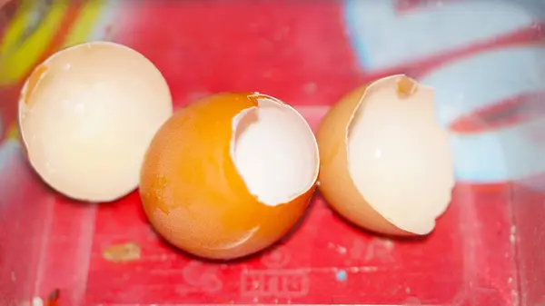 Kullandıktan sonra kırılan yumurta kabuklarının yakın çekimi, mutfakta yiyecek hazırlama atıklarını gösteriyor