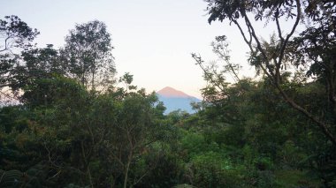 Papandayan Dağı 'ndan Cikuray Dağı' nın yer aldığı alacakaranlık manzarası, tropikal ağaç siluetleriyle çerçevelenmiştir.