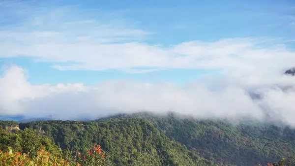 Parlak mavi gökyüzünün altında yemyeşil ormanlarla kaplı Papandayan Dağı manzarası