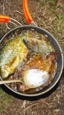 Doğadaki bir kamp alanında portatif soba kullanarak bütün balığı tavada pişirmek..