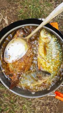 Doğadaki bir kamp alanında portatif soba kullanarak bütün balığı tavada pişirmek..