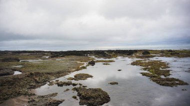 Bulutlu gökyüzünün altında gel-git havuzları olan kayalık kıyı manzarası