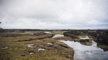 Bulutlu gökyüzünün altında gel-git havuzları olan kayalık kıyı manzarası