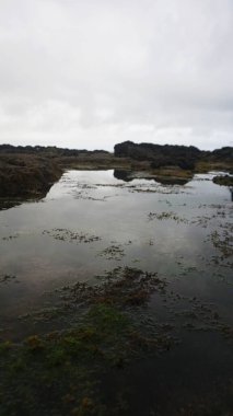 Bulutlu gökyüzünün altında gel-git havuzları olan kayalık kıyı manzarası