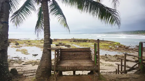 Palmiye ağaçlarının altındaki tahta bank kayalık sahile ve okyanus manzarasına bakıyor.