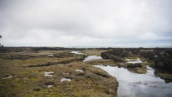 Bulutlu gökyüzünün altında gel-git havuzları olan kayalık kıyı manzarası