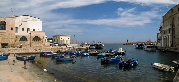 意大利 2019 停泊在垄断港的渔船 旧港全景 船只停泊或停泊在码头上 四周都是旧建筑 — 图库照片