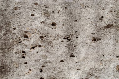 Rock wall on the coastline of Torre dell'Orso, Lecce, Italy. Natural limestone rock wall eroded by coastal weather, wind, rain, salt spray, and pounding sand particles.