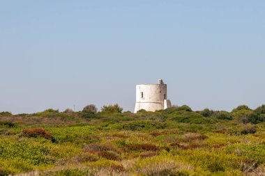 Pizzo tower, cylindrical in shape and white in color surrounded by vegetation. Coastal tower built for defensive purposes in 1569 on the Pizzo coastline, Gallipolli, Italy.