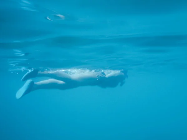 若い女性がシュノーケリング アドリア海の澄んだ青い海で泳いでいる少女の水中写真 イタリアのポリニャーノ マーレ — ストック写真