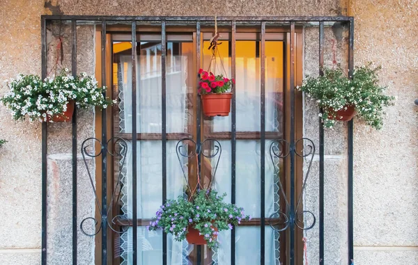 Okno Sklem Mřížemi Kde Visí Hrnce Kvetoucími Rostlinami Dům Moderní — Stock fotografie